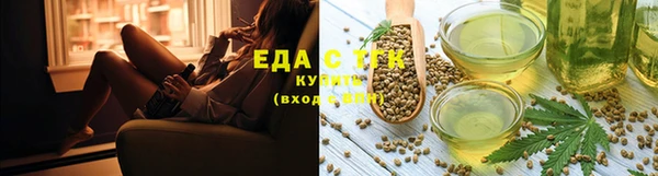 молекула духа Богородицк