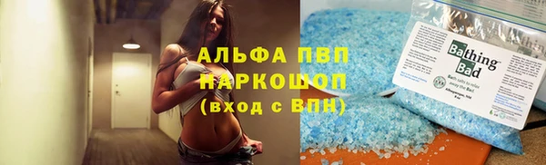 молекула духа Богородицк