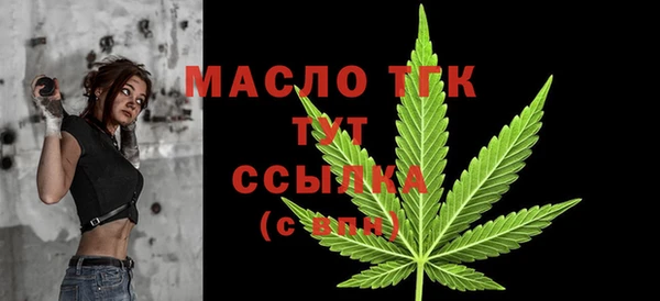 метадон Богданович