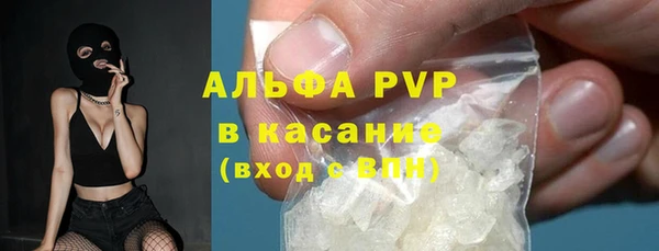 молекула духа Богородицк