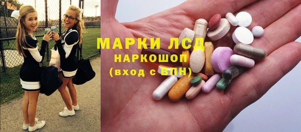 гидра Бородино