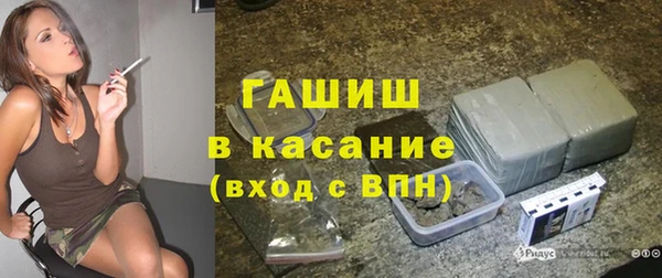 молекула духа Богородицк