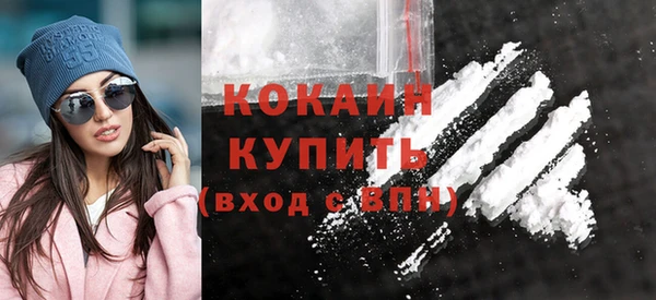 молекула духа Богородицк