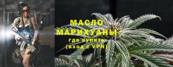 молекула духа Богородицк